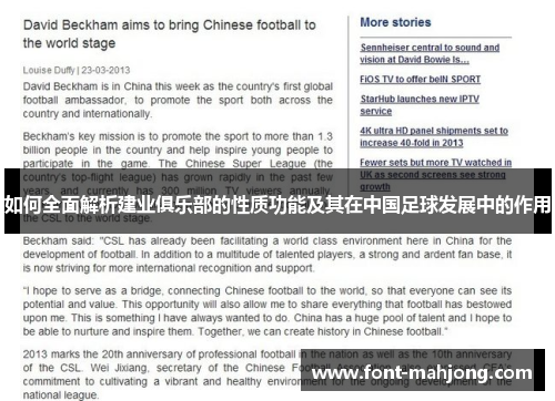 如何全面解析建业俱乐部的性质功能及其在中国足球发展中的作用